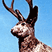 Okay, so it's really a jackalope.  Picky, picky.